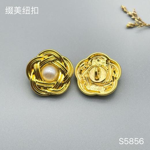 S5856(整包购买) 商品图1