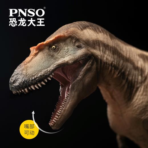 PNSO蛇发女怪龙特里斯坦恐龙大王成长陪伴模型71 商品图3