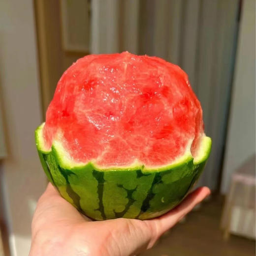 【小糖丸 西瓜】迷你小糖丸西瓜，肉质超嫩，指弹即破，瓜瓤甜美多汁，推荐品尝！ 商品图1