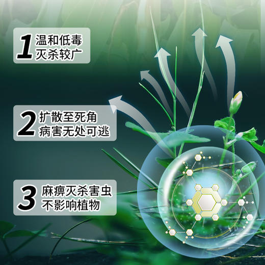 【买一送一植物杀虫剂喷雾】花卉多菌灵绿植 居家花草土壤花盆灭飞驱虫药蚜虫净化  快速渗透持续有效期长 无色无味 商品图1