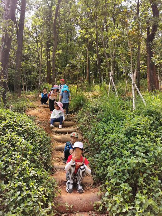 【泊寓户外】6月23日梅林后山徒步 商品图4