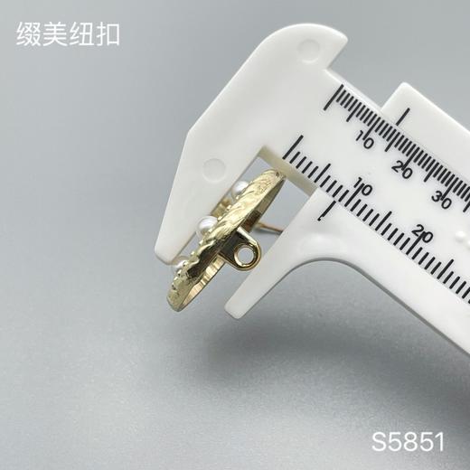 S5851(整包购买) 商品图3