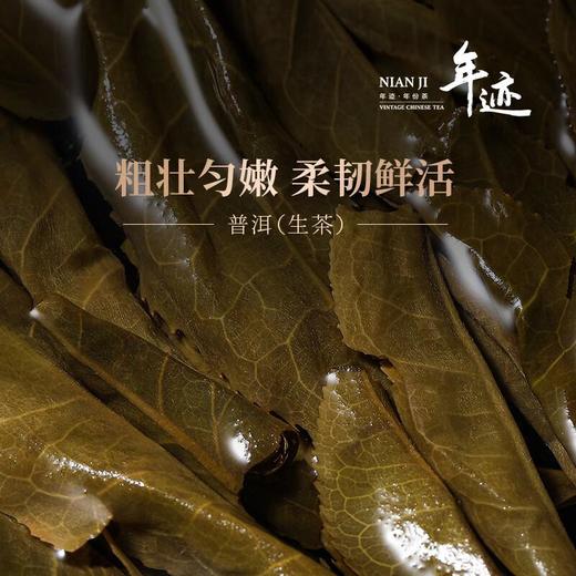 小罐茶年迹17年班章生态生普512克/盒 商品图4