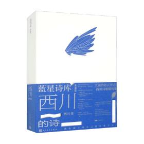 西川的诗 西川 著 文学