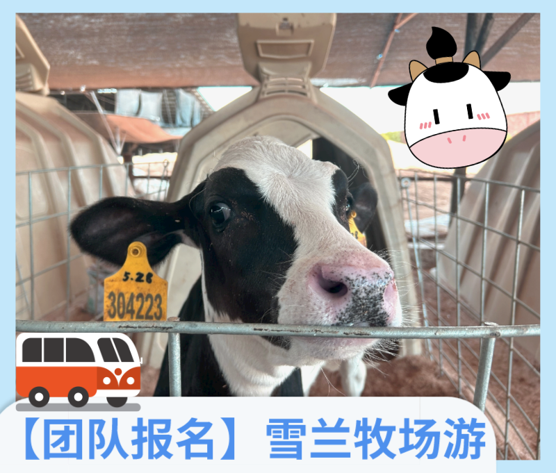 【报名链接】雪兰团队牧场游