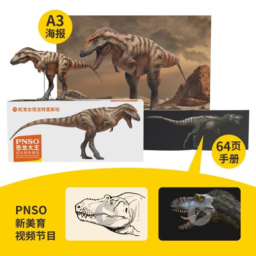 PNSO蛇发女怪龙特里斯坦恐龙大王成长陪伴模型71 商品图1