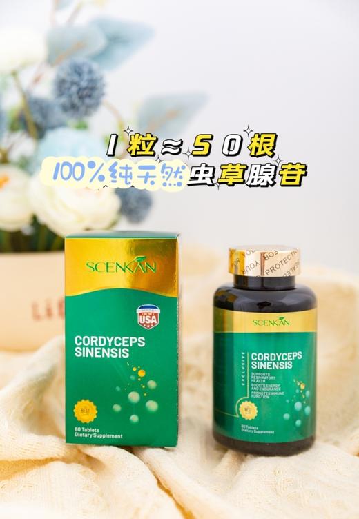 【新品上市 Scenkan虫草精华】虫草新科技 浓缩 1粒解决烦恼！多重萃取一粒虫草片约等于50根西藏优质虫草腺苷，每天2粒，助力提供人体mian疫保护盾❗ 商品图3