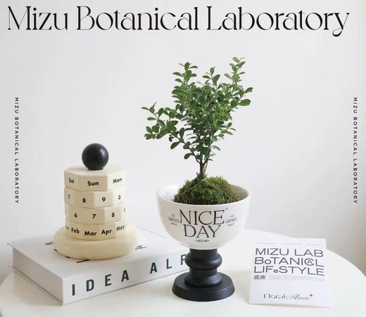 普鲁斯特的甜品杯 商品图2