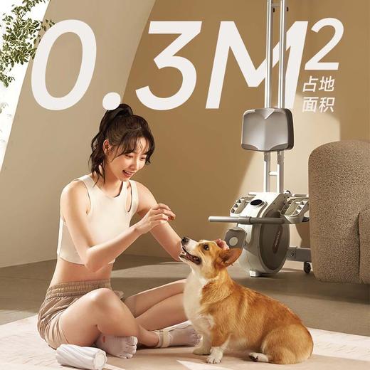 fed超燃脂智能水磁双阻划船机家用健身房健身器材划船器有氧静音送静音垫 商品图2