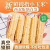 版纳拇指小玉米【KM】 商品缩略图1