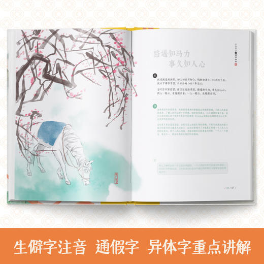 《中国孩子的国学绘本》世说新语+增广贤文+论语  精装大本3册 4-12岁 商品图4