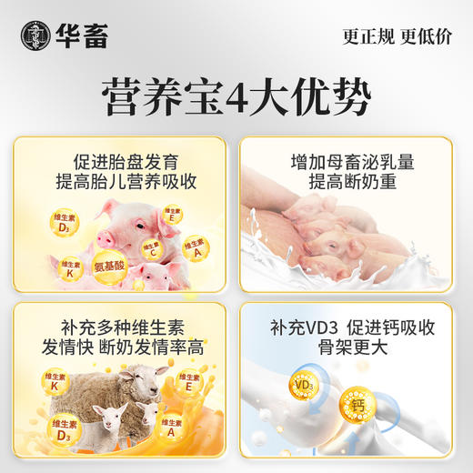 母畜 猪牛羊养殖三宝 营养宝+气血宝+排毒宝 排毒素解毒补充营养气血足催奶下奶 商品图2