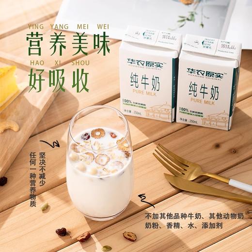 华农纯牛奶（8盒装）250ml*8 商品图1
