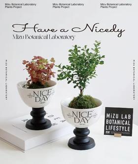 普鲁斯特的甜品杯