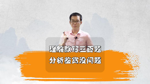 理解默写三百题，分析鉴赏没问题 商品图0