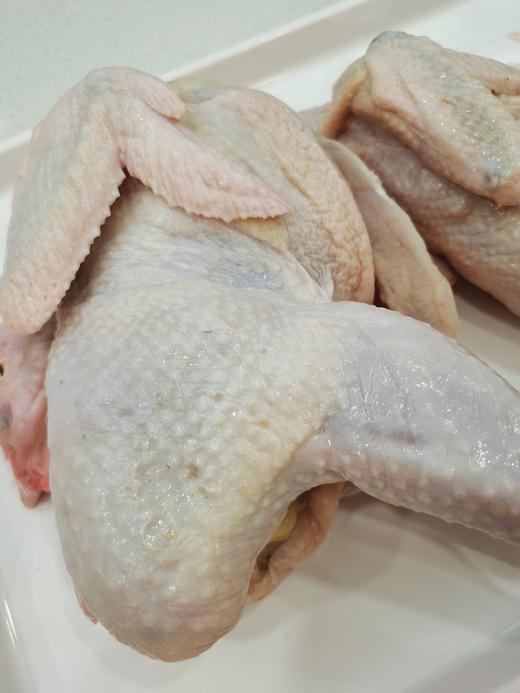 奔牛沈小亚家 散养老母鸡 商品图6