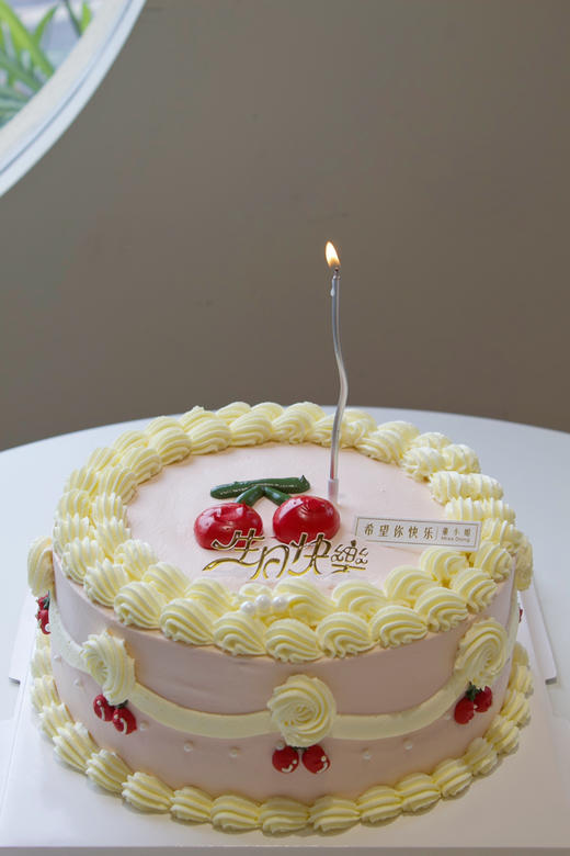 樱桃蛋糕 商品图0