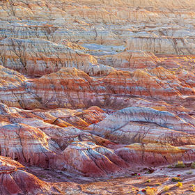 厦吉帮扶践初心 | 山海并肩共前行（新疆篇）