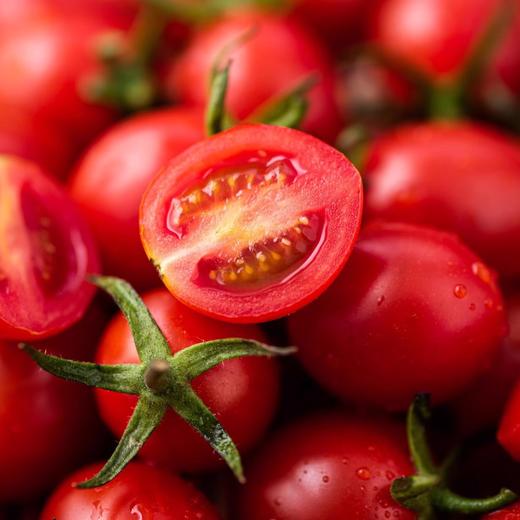 阳瑞有机番茄（红）500g/份 商品图2