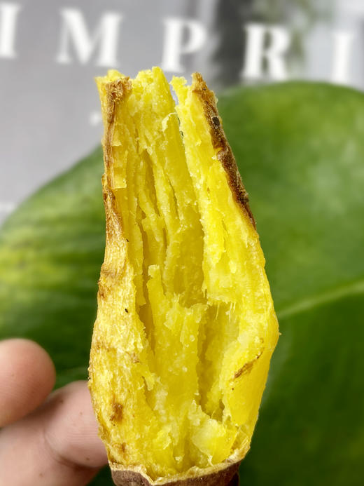嘴刁必吃！日本引进【紫焰壹号红薯/金薯】栗子味儿 烤地瓜 甜度高达36.6左右 香甜爽口 细腻绵长 甜而不腻 ~ 商品图3
