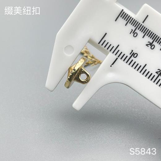 S5843(整包购买) 商品图4