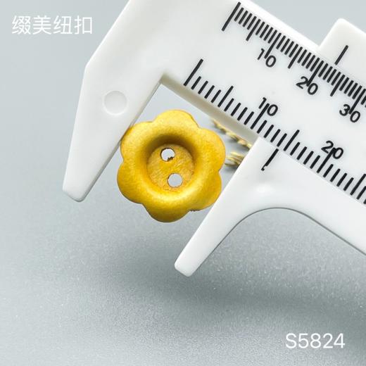 S5824(整包购买) 商品图5