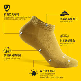 隐形盾 抗菌防臭吸汗速干休闲日常甜美短款女士袜子6双装