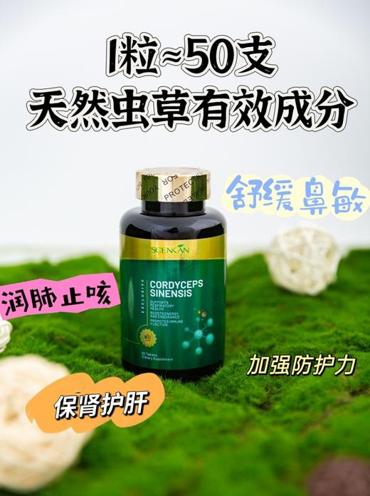 【新品上市 Scenkan虫草精华】虫草新科技 浓缩 1粒解决烦恼！多重萃取一粒虫草片约等于50根西藏优质虫草腺苷，每天2粒，助力提供人体mian疫保护盾❗ 商品图4