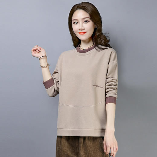 HR WJ99069休闲舒适纯色潮流卫衣复古 商品图0