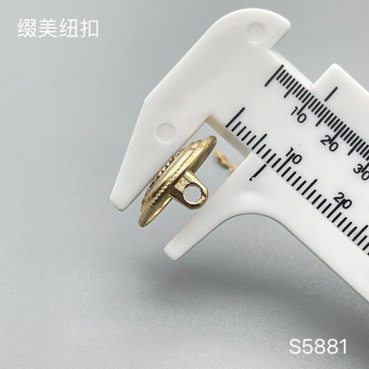 S5881(整包购买) 商品图3