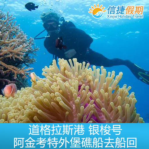 凯恩斯 道格拉斯港 银梭号阿金考特外堡礁 船去船回 商品图3