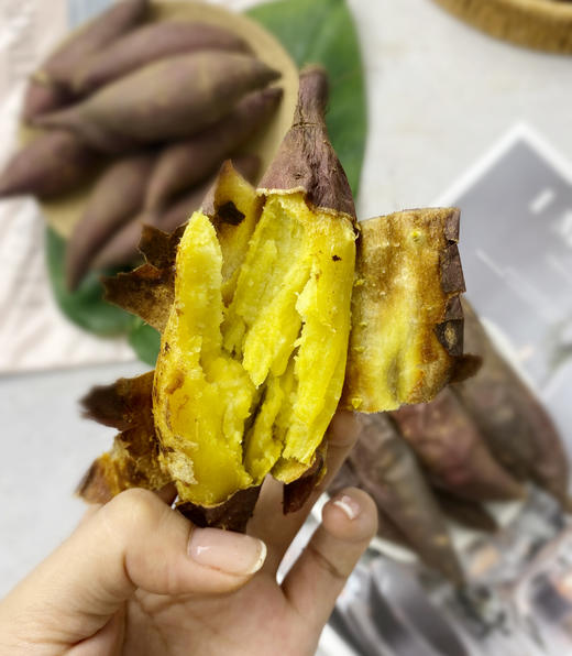 嘴刁必吃！日本引进【紫焰壹号红薯/金薯】栗子味儿 烤地瓜 甜度高达36.6左右 香甜爽口 细腻绵长 甜而不腻 ~ 商品图4