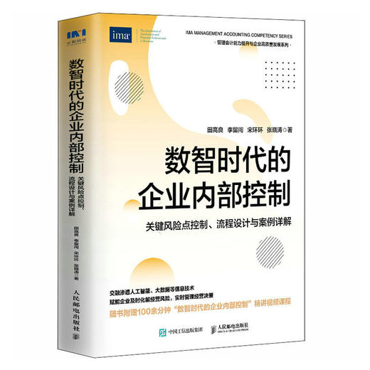 数智时代的企业内部控制 关键风险点控制流程设计与案例详解  融合大数据人工智能等信息技术 管理会计内控人员案头常备书籍 商品图0