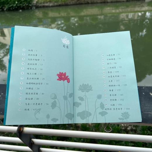 《大象池塘》 商品图4