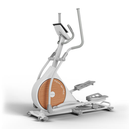 飞尔顿椭圆机家用太空漫步机健身房器材运动小型静音椭圆仪送静音垫 商品图5