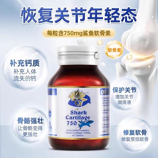 （香港直邮）澳至尊鲨鱼软骨素750mg60粒  保质期至2027-7-31 商品图3