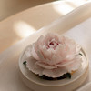 呈白	浮光芍药非遗瓷花香薰礼盒 商品缩略图1