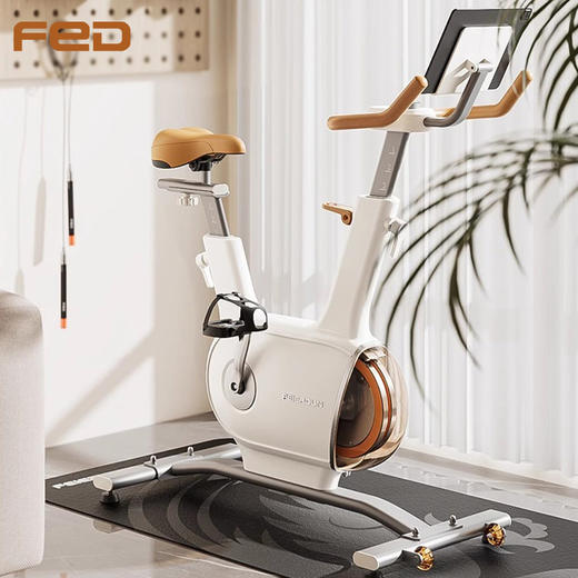 fed动感单车家用智能静音室内磁控健身车运动自行车健身运动器材送静音垫 商品图0
