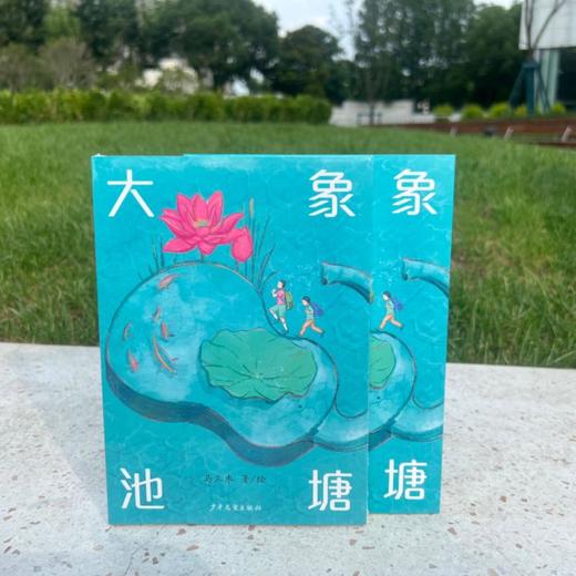 《大象池塘》 商品图1