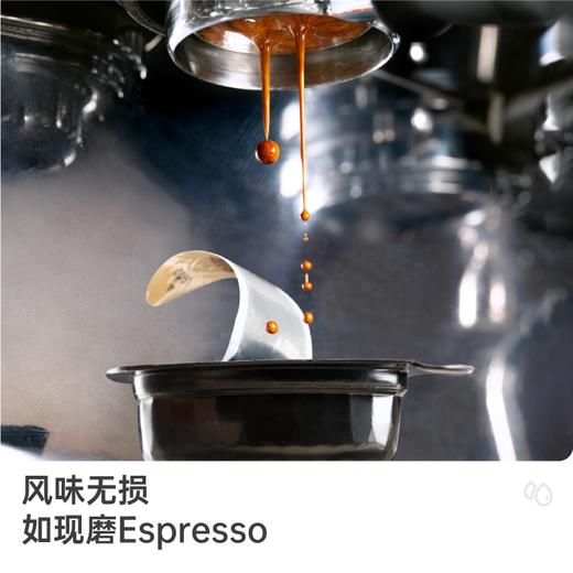 鱼sir专享【品牌直发】史低清仓！ 3袋21颗💰59.9！ 商品图1