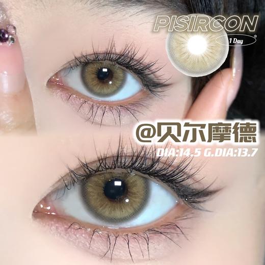 pisircon日抛 贝尔摩德 棕褐色 14.5mm 日抛无售后！！ 商品图1