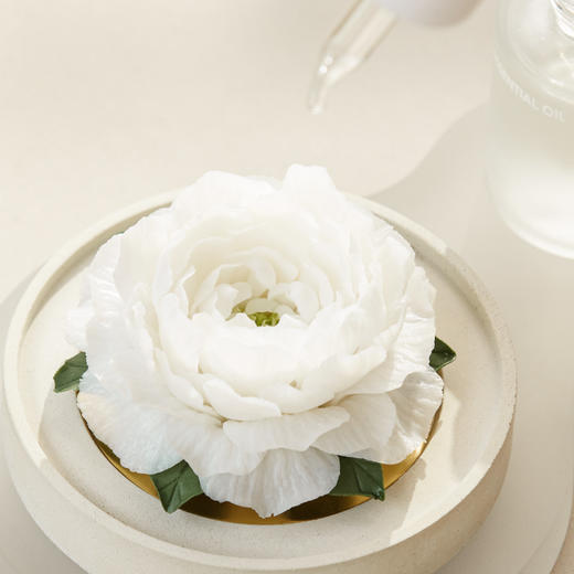 呈白 虎头茉莉非遗瓷花香薰礼盒 商品图2