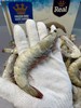 皇冠盐冻大号南美白虾1.65kg/盒（30/40），无冰板，不包冰 商品缩略图4
