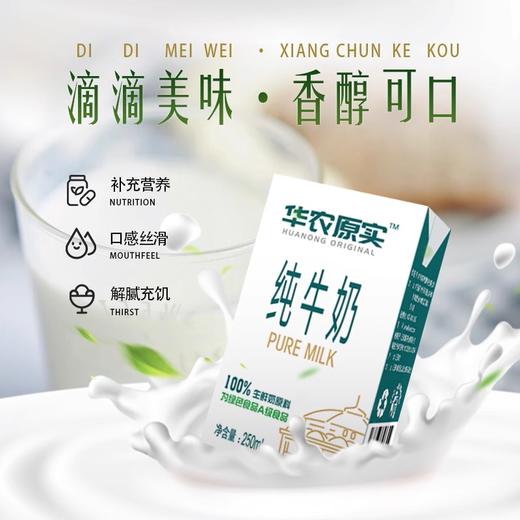 华农纯牛奶（8盒装）250ml*8 商品图4