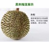 马来西亚“液氮”黑刺榴莲-产量很低，口感香糯甜，焦糖甜，冰淇淋般细腻丝滑，微微回苦 商品缩略图6