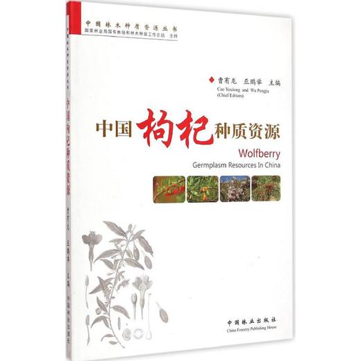 中国枸杞种质资源 商品图0