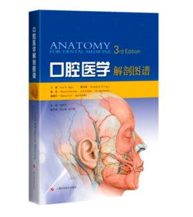 口腔医学解剖图谱