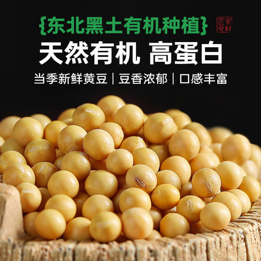 有机黄豆非转基因东北有机种植当季大豆打豆浆专用五谷杂粮粗粮350g 商品图1