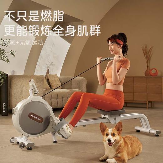 fed超燃脂智能水磁双阻划船机家用健身房健身器材划船器有氧静音送静音垫 商品图3