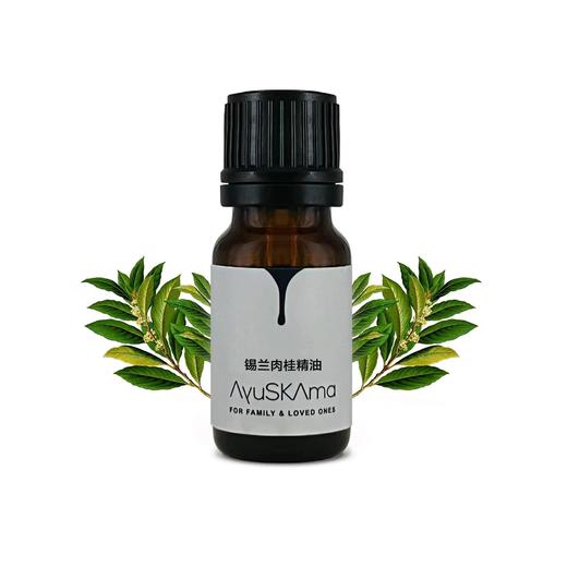 AyuSkAma 马达加斯加有机锡兰肉桂精油 商品图0